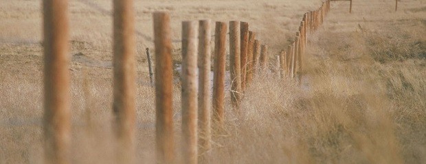 El mercado inmobiliario rural no despega