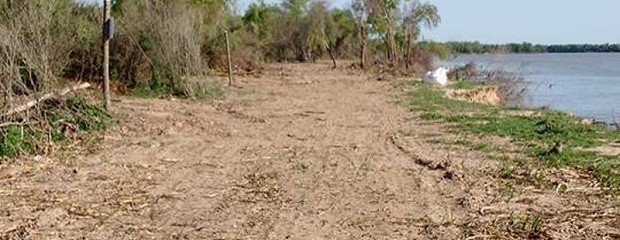 Fiscal actuó de oficio por caso de desmonte en islas 