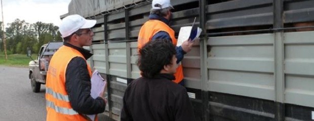 La provincia controló 4800 guías de transporte de citrus 