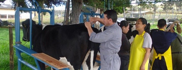 Argentina exportará material genético bovino a Brasil