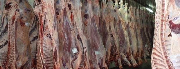 Carne, China marca el ritmo en la mejora de exportaciones 