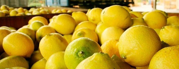 Argentina exportó el primer cargamento de limones a Brasil