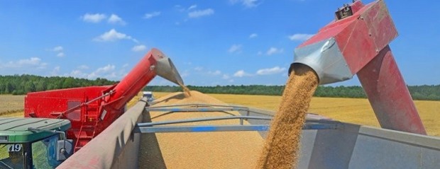 Transportar granos es hasta un 76% más caro que en Brasil