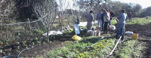 Relevamientos con productores hortícolas de La Paz 