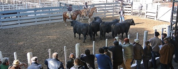 En la provincia hay problemas serios en los caminos rurales