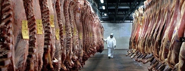Por qué Argentina exporta sólo el 28% de la carne bovina