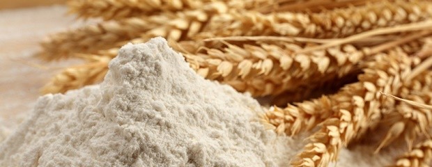 Argentina es el cuarto país exportador de harina de trigo