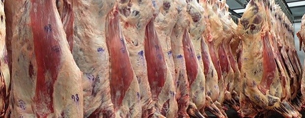 La faena bovina creció el 14,8% en un año