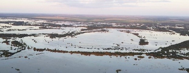 Declara la emergencia agropecuaria en provincias