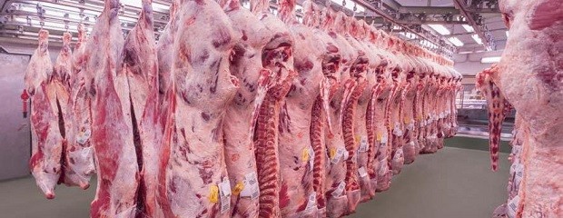 Importaciones de carne porcina creció un 173% en dos años