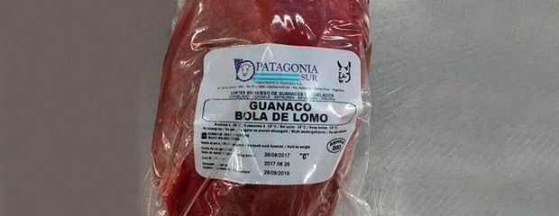 Autorizaron la venta de carne de guanaco en todo el país