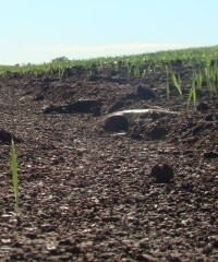Predecir erosión para proteger la productividad de suelos
