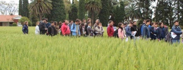 Se realizó la Jornada a Campo en INTA Paraná