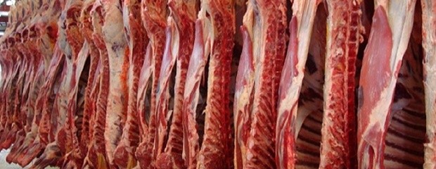 Exportaciones de carne bovina crecieron 60%