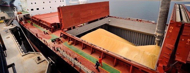 Los puertos del Gran Rosario exportaron el 82% del maíz