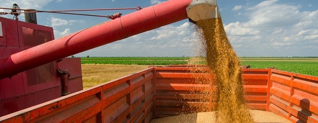 La carga impositiva en el flete ya representa el 41.1% 
