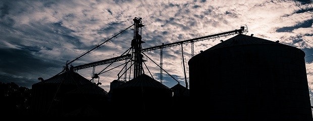 Acuerdo entre acopiadores y exportadores
