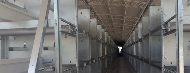 Primer equipo automático de producción de huevos 