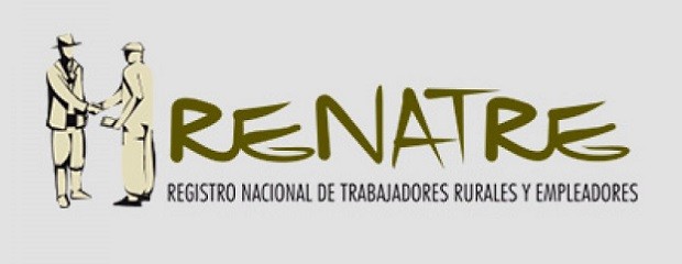 Publican cronograma de pagos por desempleo y asignaciones 