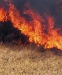 Recomendaciones para evitar incendios en campos