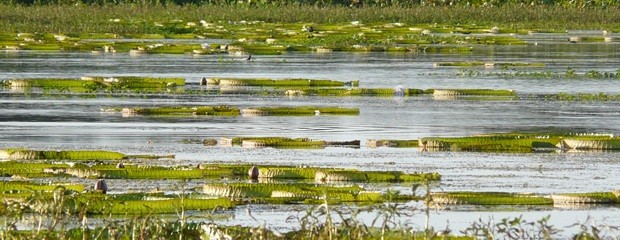 El gobierno de Entre Ríos busca revertir el colapso hídrico 