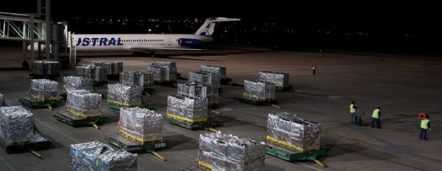 El rol del Senasa en la apertura de mercados internacionales