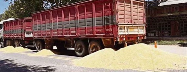 BolsaCER repudia accionar de transportistas autoconvocados