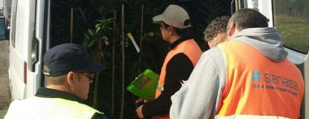 Intensifican controles  por HLB en el acceso al túnel 