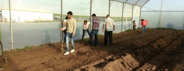 Desarrollan cinturón fruti-hortícola de Victoria