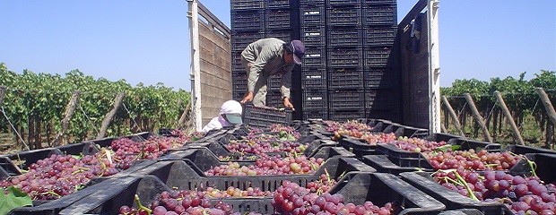 Coninagro presentó proyecto de ley para economías regionales