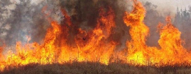 Por incendios, ampliaron prohibición de quema en Entre Ríos