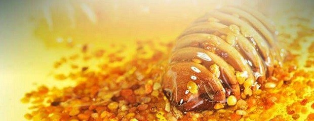 Últimos retoques para la exposición más importante de miel