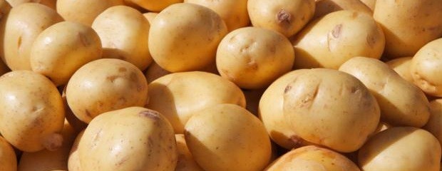 Productores de papa, en alerta por importación de Brasil