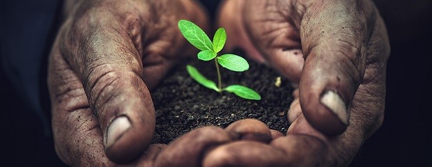 Reunión abierta sobre la transición a la agroecología 