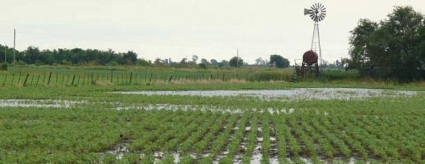 Cómo la variabilidad climática impacta en el sector 
