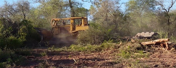 Piden controlar los desmontes ilegales en la provincia