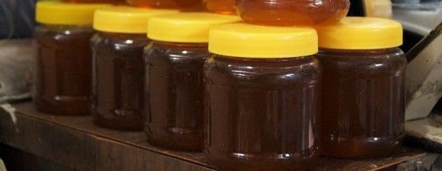 Cayeron las exportaciones de miel