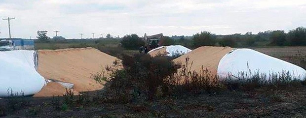 Dañaron tres silobolsas en Colonia La Joya