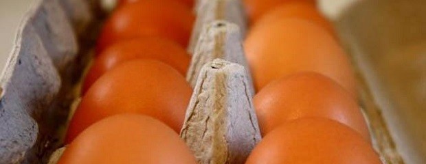 La avicultura en crisis por la suba de costos