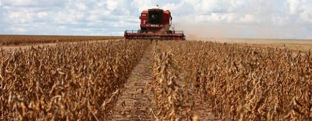 Argentina se consolida como exportador de harina de soja