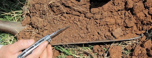Crean un Plan Nacional de Suelos agropecuarios
