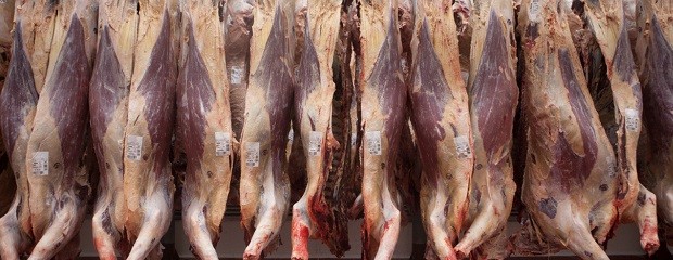 Ya se exportó más carne que en todo el año pasado