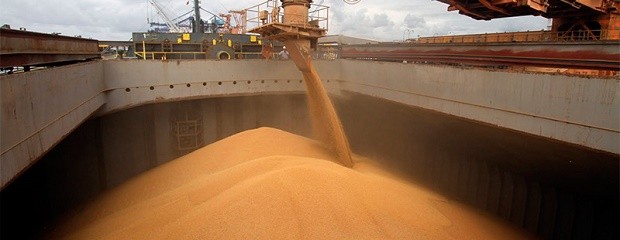 En septiembre, caída de la liquidación de divisas del agro