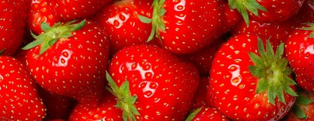 Argentina es el tercer productor de frutillas de Sudamérica