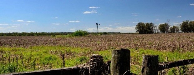 Caída interanual del 25% en la actividad inmobiliaria rural