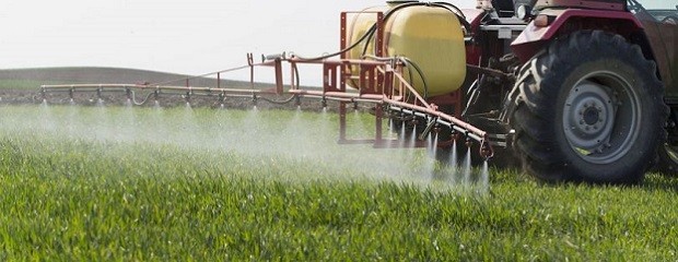 Quedó firme prohibición de fumigar cerca de escuelas rurales