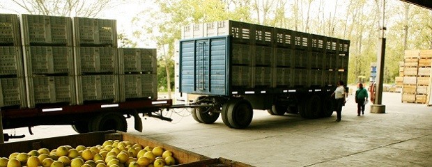Será obligatorio el documento de tránsito vegetal