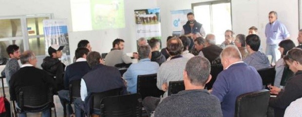  Taller de desposte de carne ovina en el INTA Paraná