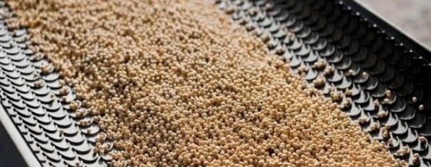 China analiza 20 plantas argentinas de harina de soja