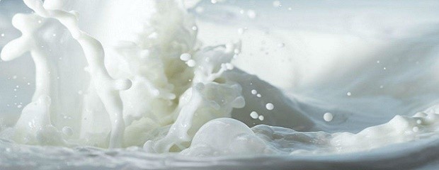 Argentina estrena un mercado de futuros de leche cruda